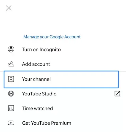Step 3: Select the 'Your channel' option